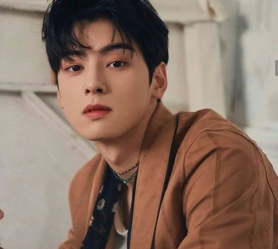 Cha Eun Woo