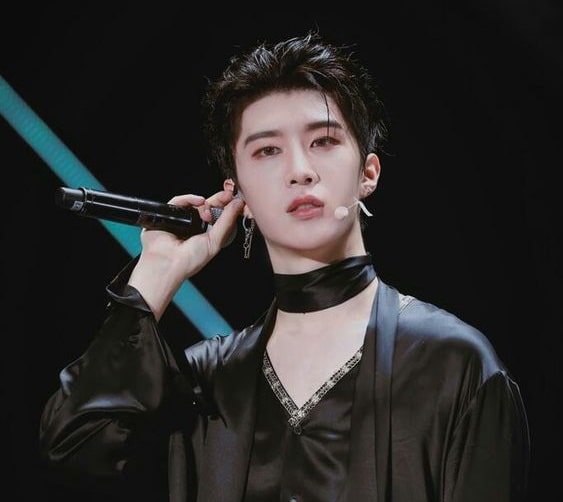 Fan Chengcheng
