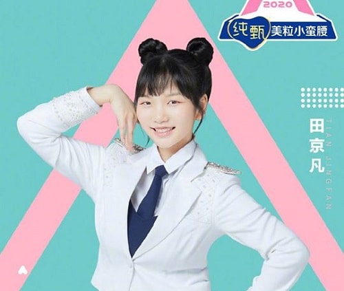 Tian Jingfan