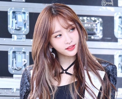 Hani
