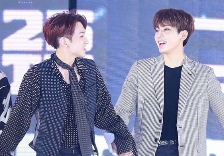 Wonwoo & Hoshi