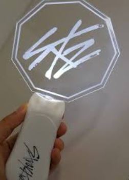 Stray Kids