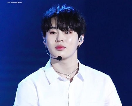 Ha Sung Woon