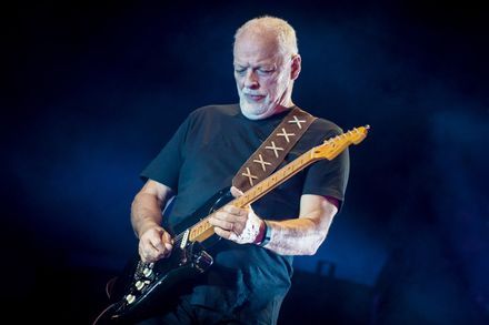 David Gilmour