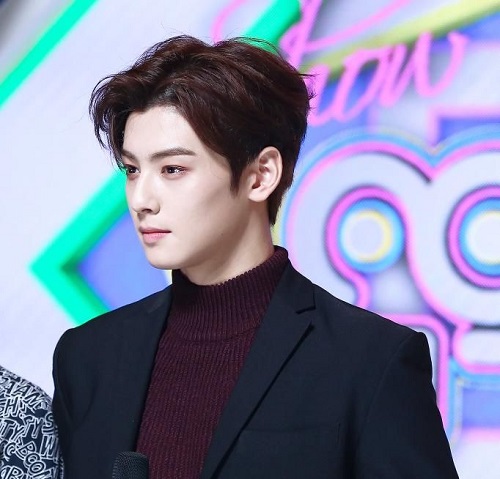 Cha Eunwoo
