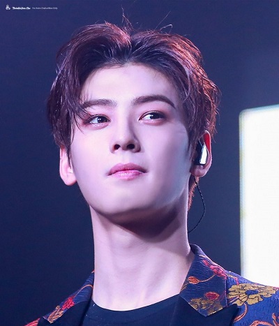 Cha Eunwoo