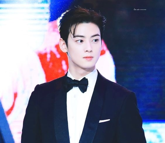 Cha Eunwoo