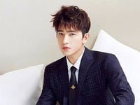 Yang Yang