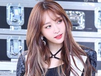 Hani
