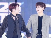 Wonwoo & Hoshi