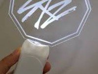 Stray Kids