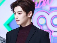 Cha Eunwoo