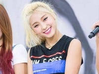 Bora