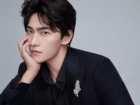 Yang Yang
