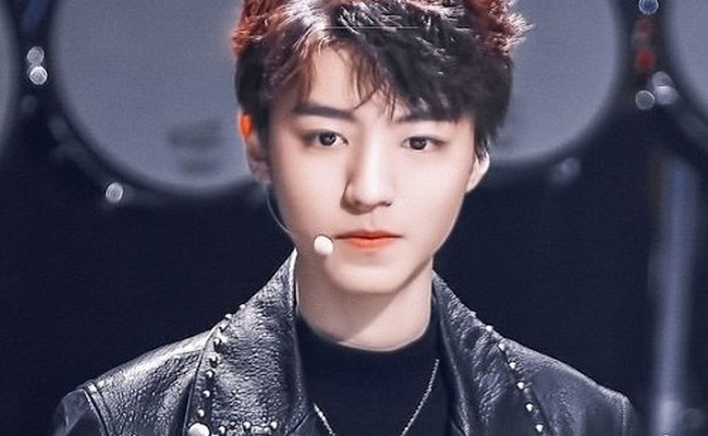 Wang Junkai
