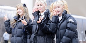 AOA Cream