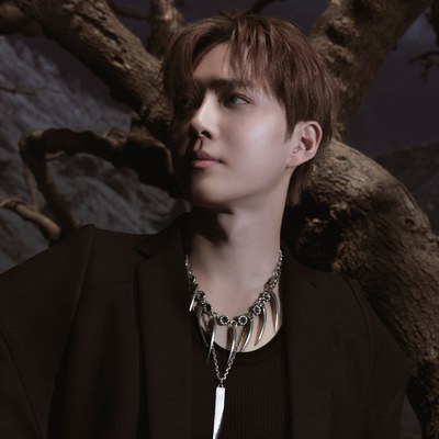 Kim Jun Myeon