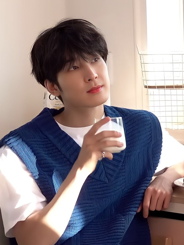 Wonwoo