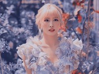 Momo