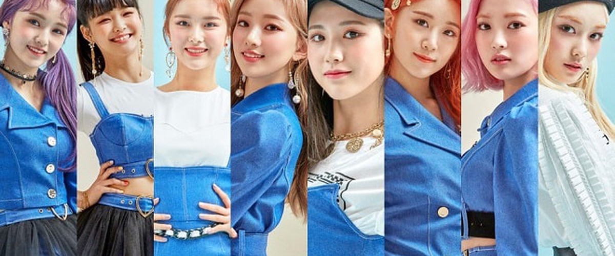 DreamNote Members Profile & Vote