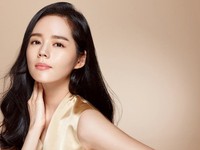 Han Ga In