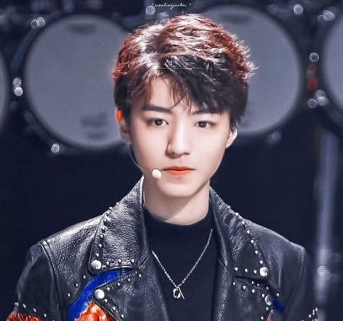 Wang Junkai