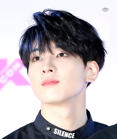 Wonwoo