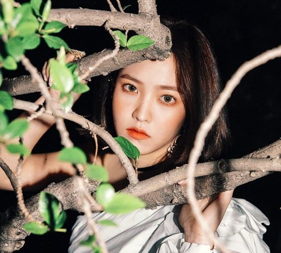 Yeri
