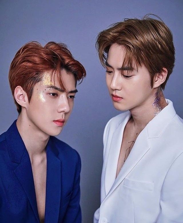 Sehun & Suho