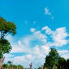 Bi NA Tripuri