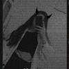 Lia 369