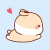 Kpop group lover