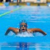 Gana Gogo
