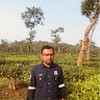 saidur rahman