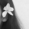 sham_V_ JK