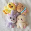 ♡BPBLINKDOLL♡