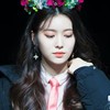 Momoland fan