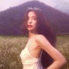 KPOP LAND