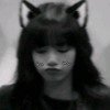 Blink__shawon